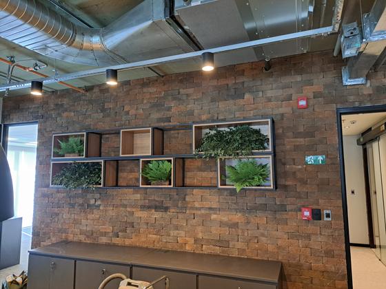 Parede de tijolos com jardim vertical em escritório corporativo